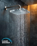 NEW Clear Showerhead Mini