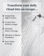 NEW Clear Showerhead Mini